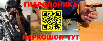 стафф Шебекино