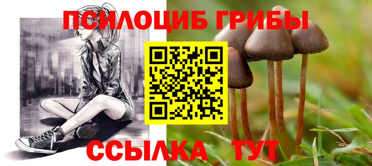 Псилоцибиновые грибы Psilocybe Верхний Уфалей