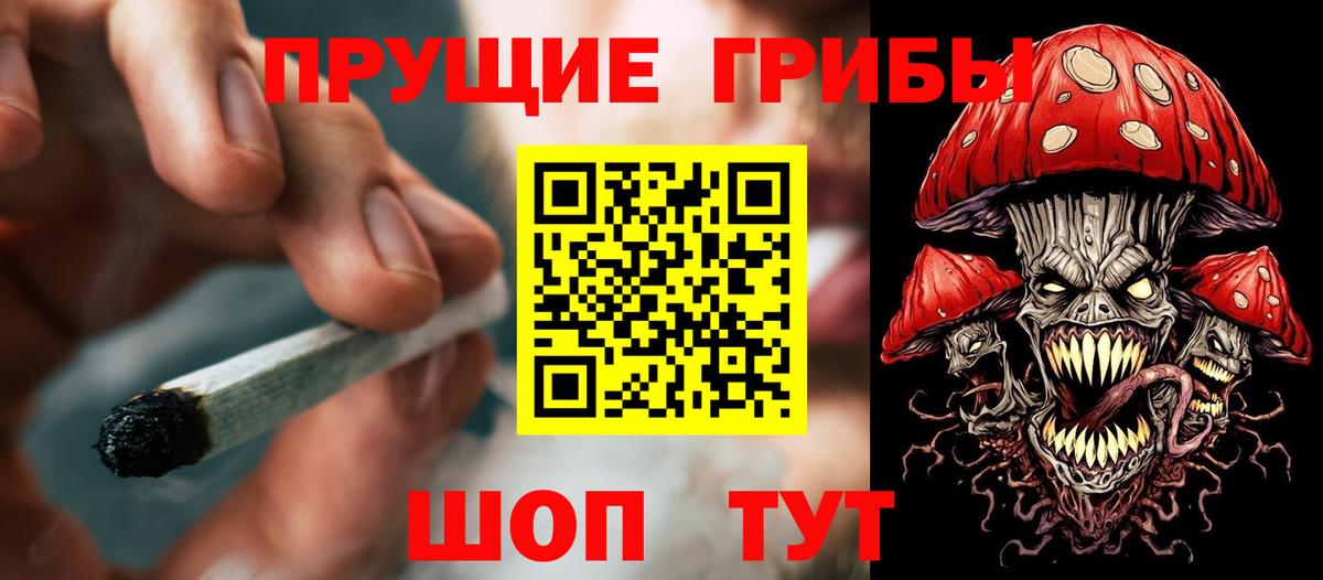 Псилоцибиновые грибы GOLDEN TEACHER  Псилоцибиновые грибы Psilocybine cubensis  Верхний Уфалей  Вход с VPN 